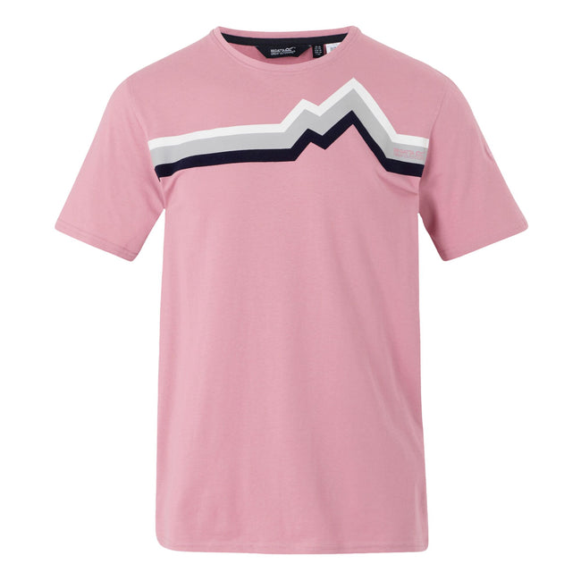 Lilas - Front - Regatta Mens Linear Mountain T-Shirt