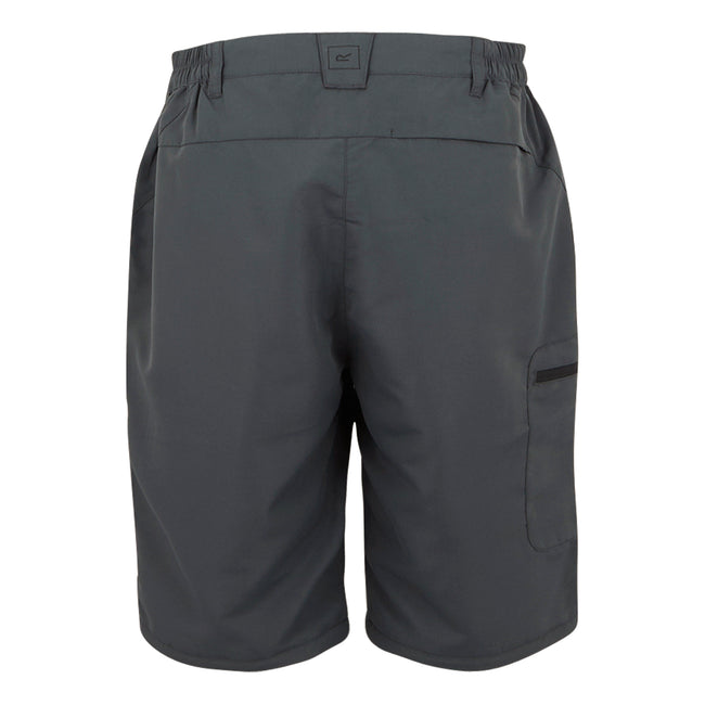 Seal Grey - Pack Shot - Regatta Womens-Ladies Chaska III Zip-Off Hiking Trousers