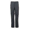 Seal Grey - Front - Regatta Womens-Ladies Chaska III Zip-Off Hiking Trousers
