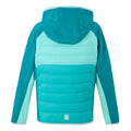 Turquoise-Aruba Blue-Exotic Plume - Back - Regatta Childrens-Kids Kielder IX Hybrid Jacket