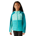 Turquoise-Aruba Blue-Exotic Plume - Lifestyle - Regatta Childrens-Kids Kielder IX Hybrid Jacket