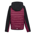 Black-Dark Pimento - Back - Regatta Childrens-Kids Kielder IX Hybrid Jacket