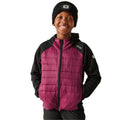 Black-Dark Pimento - Lifestyle - Regatta Childrens-Kids Kielder IX Hybrid Jacket