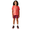 Peach Bloom - Lifestyle - Regatta Childrens-Kids Alvarado IX Mountain T-Shirt