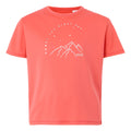 Peach Bloom - Front - Regatta Childrens-Kids Alvarado IX Mountain T-Shirt