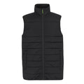 Black - Front - Regatta Professional Mens Thermal Body Warmer