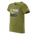 Nephrite Green - Side - Regatta Childrens-Kids Bosley VIII Mountain T-Shirt
