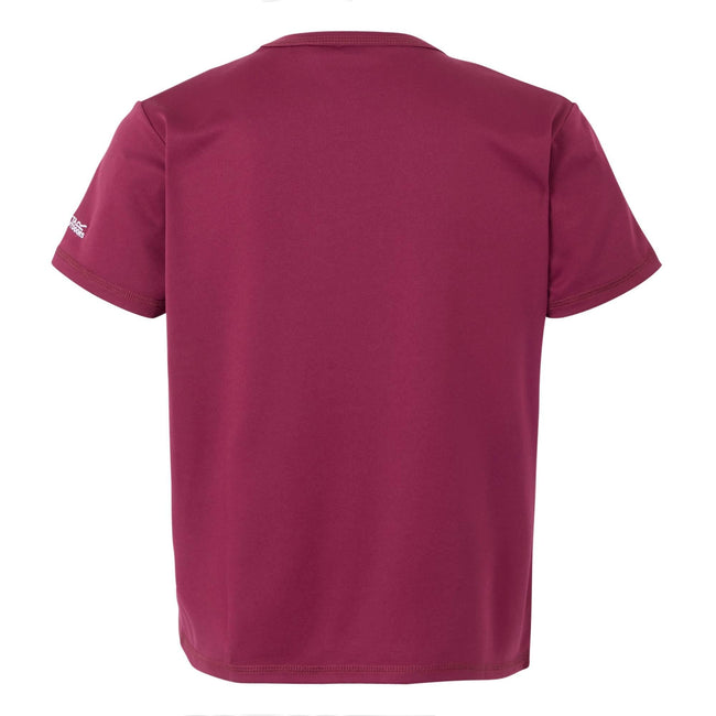 Beaujolais - Back - Regatta Childrens-Kids Alvarado IX Earth T-Shirt
