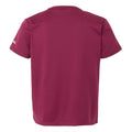 Beaujolais - Back - Regatta Childrens-Kids Alvarado IX Earth T-Shirt