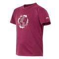 Beaujolais - Side - Regatta Childrens-Kids Alvarado IX Earth T-Shirt