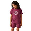 Beaujolais - Lifestyle - Regatta Childrens-Kids Alvarado IX Earth T-Shirt
