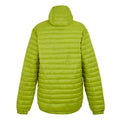 Grenoble Green - Back - Regatta Mens Hurden Padded Jacket
