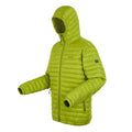Grenoble Green - Side - Regatta Mens Hurden Padded Jacket