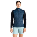 Moonlight Denim - Lifestyle - Dare 2B Womens-Ladies Altimeter II Gilet