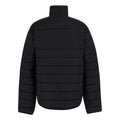 Black - Back - Regatta Professional Mens Thermal Jacket