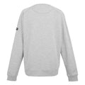 Grey Marl - Back - Regatta Mens Nithsdale Linear Mountain Crew Neck Sweatshirt