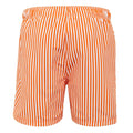 Celosia Orange - Back - Regatta Mens Loras Stripe Swim Shorts