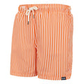 Celosia Orange - Side - Regatta Mens Loras Stripe Swim Shorts