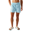 Aquarius Blue - Lifestyle - Regatta Mens Loras Striped Swim Shorts