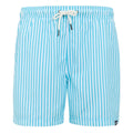Aquarius Blue - Front - Regatta Mens Loras Striped Swim Shorts