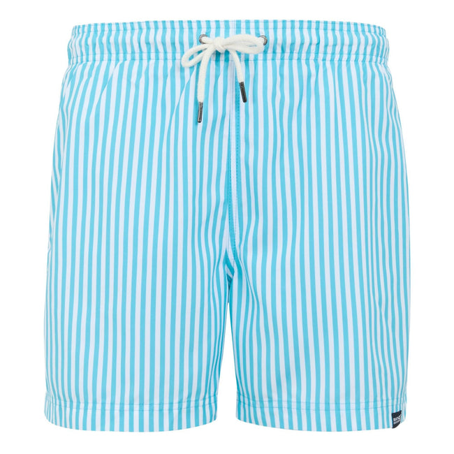 Aquarius Blue - Front - Regatta Mens Loras Striped Swim Shorts