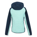 Navy-Icy Morn - Back - Regatta Womens-Ladies Pro Hybrid II Padded Jacket