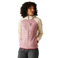 Light Vanilla-Lilas - Lifestyle - Regatta Womens-Ladies Pro Hybrid II Padded Jacket