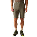 Treetop - Lifestyle - Regatta Mens Highton II Long Length Walking Casual Shorts