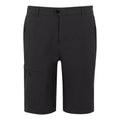 Ash - Front - Regatta Mens Highton II Long Length Walking Casual Shorts