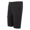 Ash - Side - Regatta Mens Highton II Long Length Walking Casual Shorts