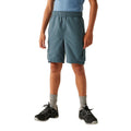Stormy Weather - Lifestyle - Regatta Childrens-Kids Sorcer III Shorts