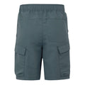 Stormy Weather - Back - Regatta Childrens-Kids Sorcer III Shorts