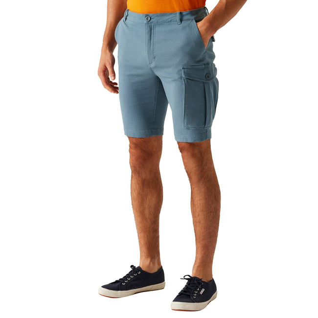 Stormy Weather - Lifestyle - Regatta Mens Bendrick Shorts