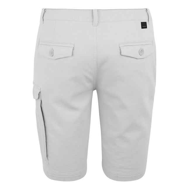 Iceberg - Back - Regatta Mens Bendrick Shorts