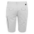 Iceberg - Back - Regatta Mens Bendrick Shorts