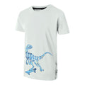 Aqua Grey - Side - Dare 2B Boys Amuse II Velociraptor T-Shirt
