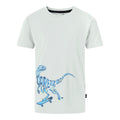 Aqua Grey - Front - Dare 2B Boys Amuse II Velociraptor T-Shirt