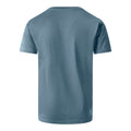 Element Grey - Back - Dare 2B Childrens-Kids Amuse II Bicycle T-Shirt