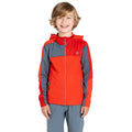 Danger Red-Stormy Weather-Seville - Lifestyle - Dare 2B Childrens-Kids Thriving IV Fleece Jacket