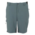 Stormy Weather-Ash - Front - Regatta Mens Eldes Walking Shorts