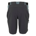Stormy Weather-Ash - Back - Regatta Mens Eldes Walking Shorts