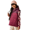 Fig-Dark Pimento - Lifestyle - Regatta Childrens-Kids Lofthouse Body Warmer