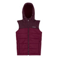 Fig-Dark Pimento - Front - Regatta Childrens-Kids Lofthouse Body Warmer
