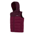 Fig-Dark Pimento - Side - Regatta Childrens-Kids Lofthouse Body Warmer