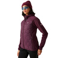 Fig - Pack Shot - Dare 2B Womens-Ladies Torrek Flexy Hybrid Jacket