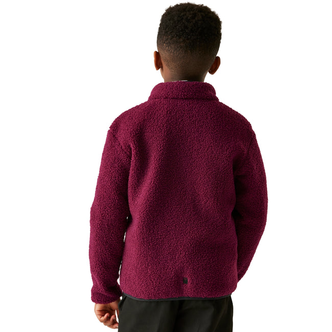 Dark Pimento - Pack Shot - Regatta Childrens-Kids Frankie Full Zip Fleece Jacket
