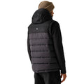 Ash-Black - Pack Shot - Regatta Mens Aldthorn Body Warmer