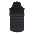 Ash-Black - Back - Regatta Mens Aldthorn Body Warmer