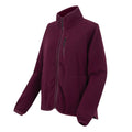 Fig - Side - Regatta Womens-Ladies Frankie Full Zip Fleece Jacket