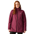 Dark Pimento - Lifestyle - Regatta Womens-Ladies Tamlin Insulated Waterproof Jacket